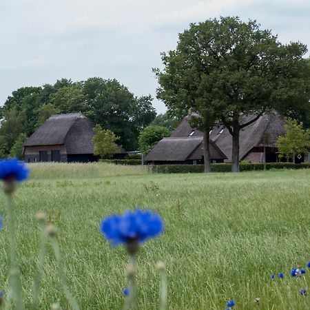 Gastenverblijf Lheederhof Dwingeloo Exterior photo
